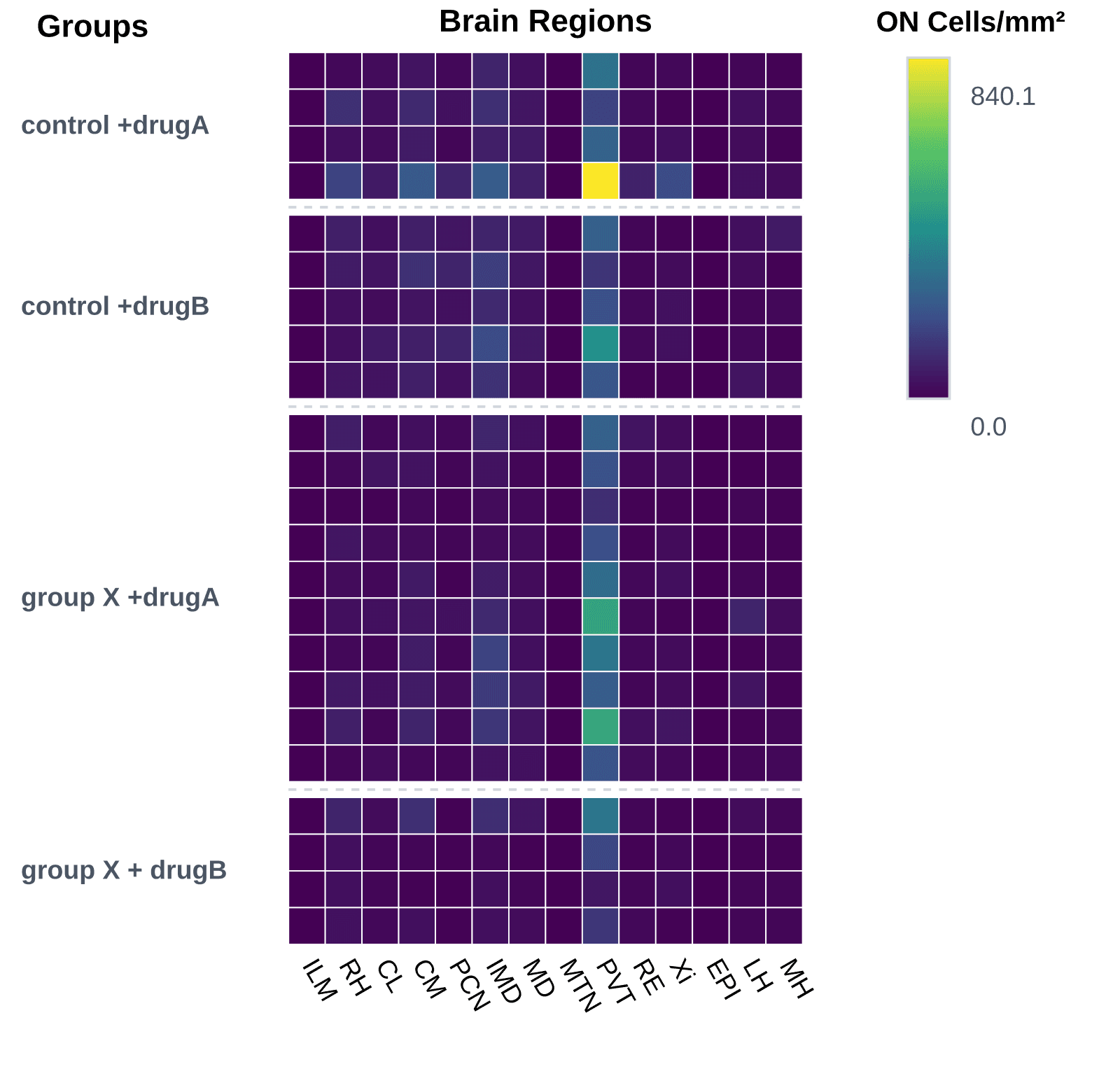 Heatmap plot of region-level neuroscience results